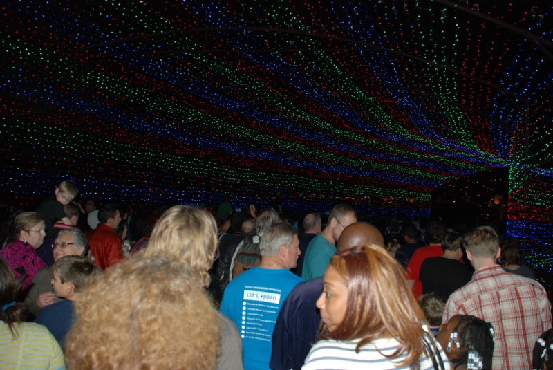 2013/2013 Christmas/800x600_2013-12-20 20-18-12 Trail of Lights.jpg